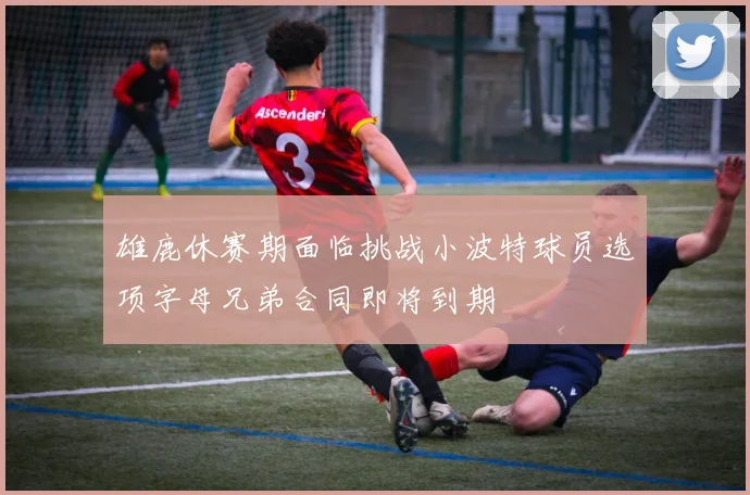雄鹿休赛期面临挑战小波特球员选项字母兄弟合同即将到期